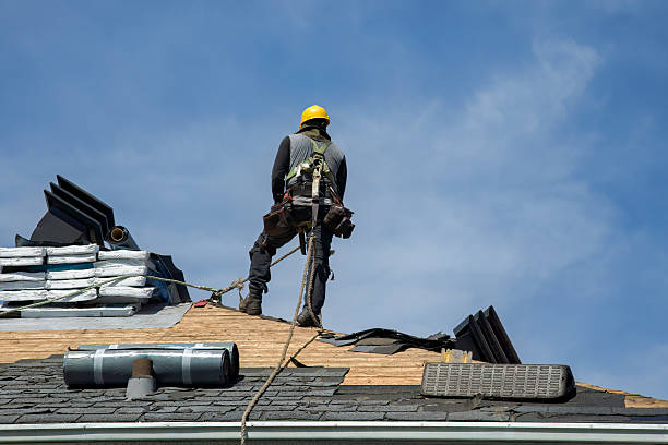 Professional Storm Damage Roof Repair technician working in Madison, IN